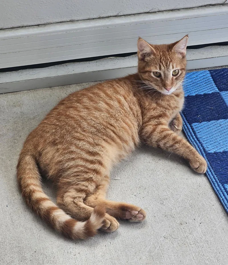 Charlieboy thumbnail 3