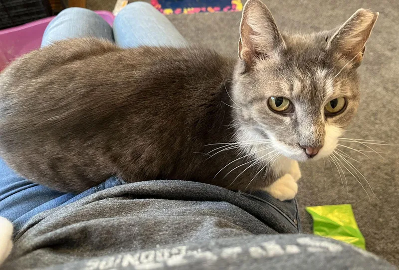 Mr. Ellsworth thumbnail 2