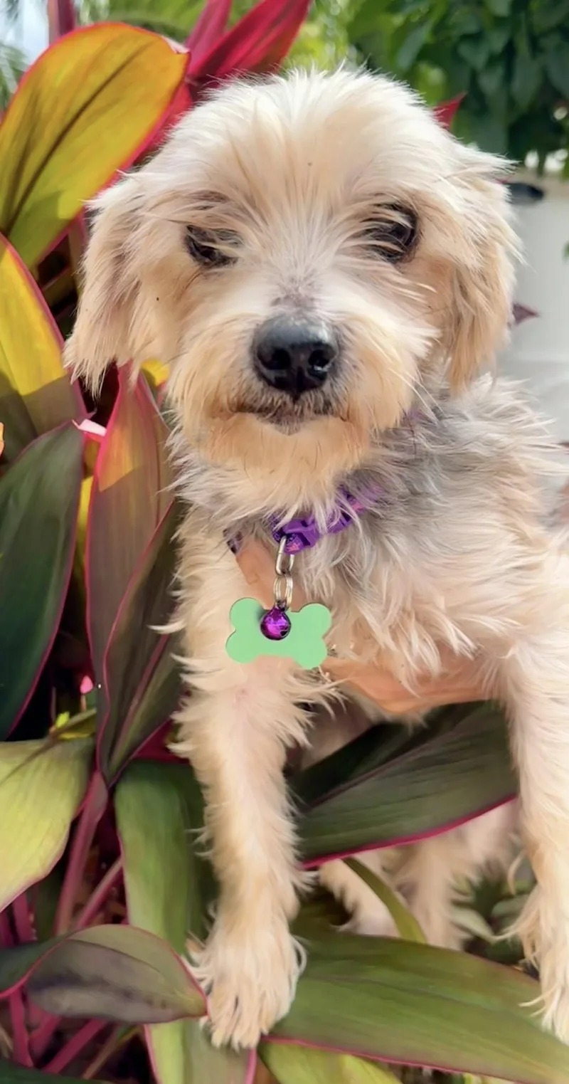 Tom & Oney thumbnail 2