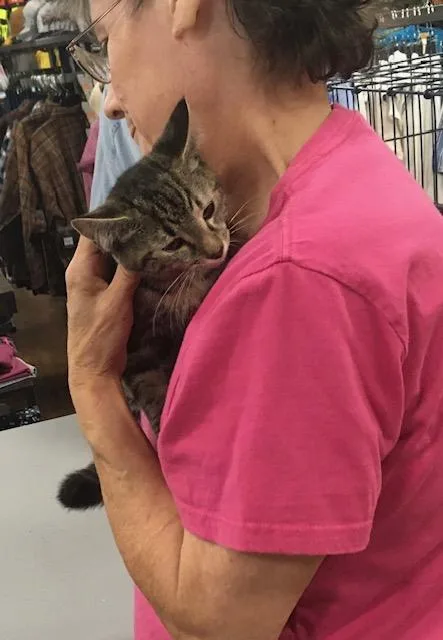 Kimberly Bonded With Nellie thumbnail 3