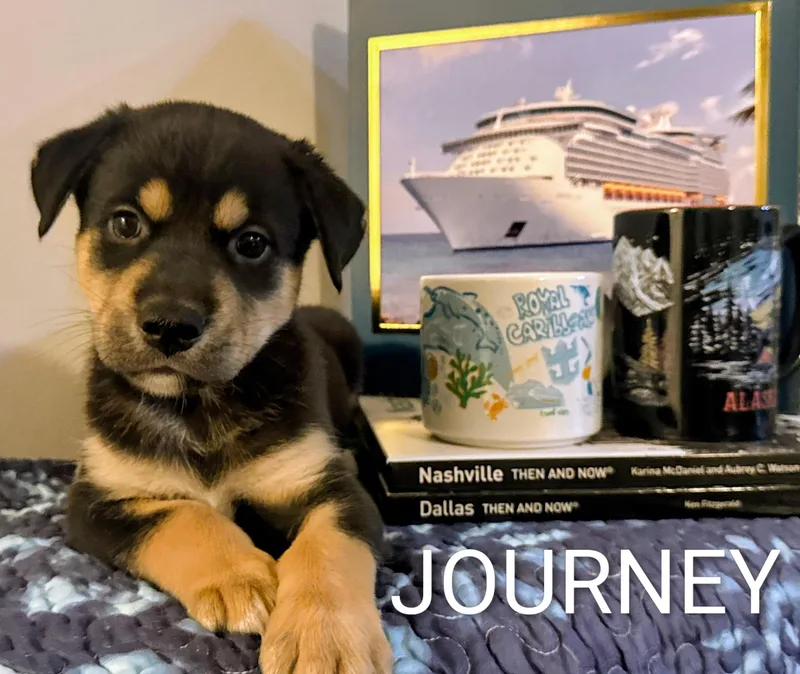 Journey thumbnail 2