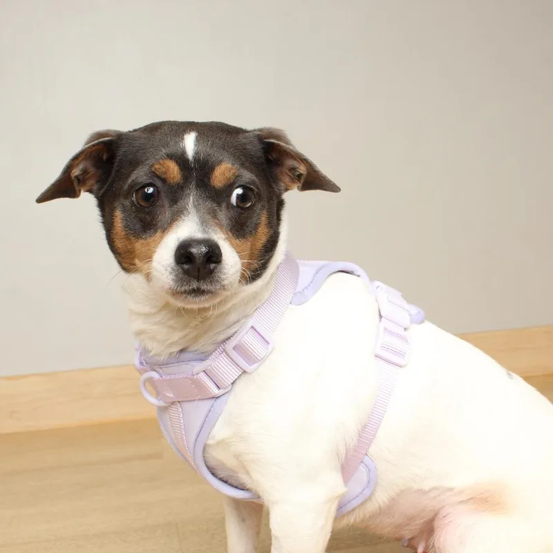 Coco Chanel D thumbnail 3