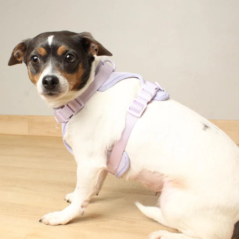 Coco Chanel D thumbnail 6