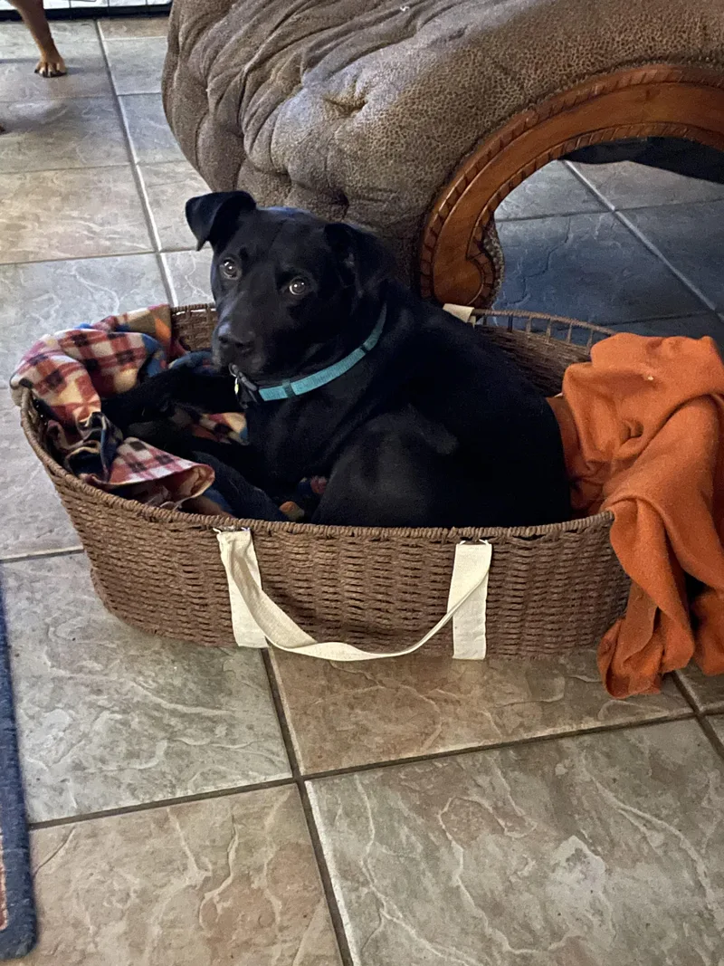 Harold Melvin thumbnail 2