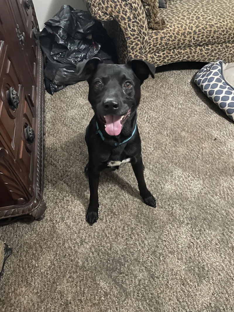 Harold Melvin thumbnail 6