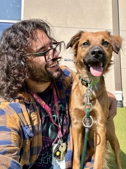 A young medium-sized male Red / Chestnut / Orange Mixed Breed dog named Ringo for adoption in Wichita, KS