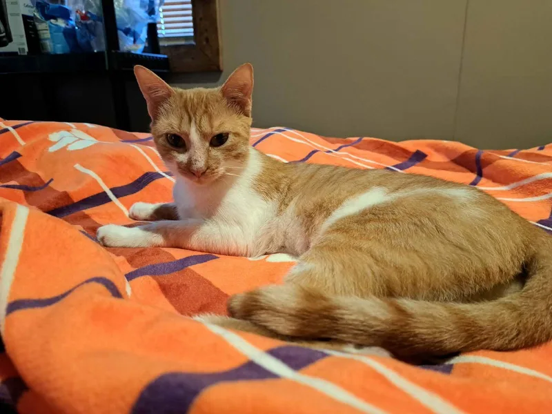 Neosporin thumbnail 2