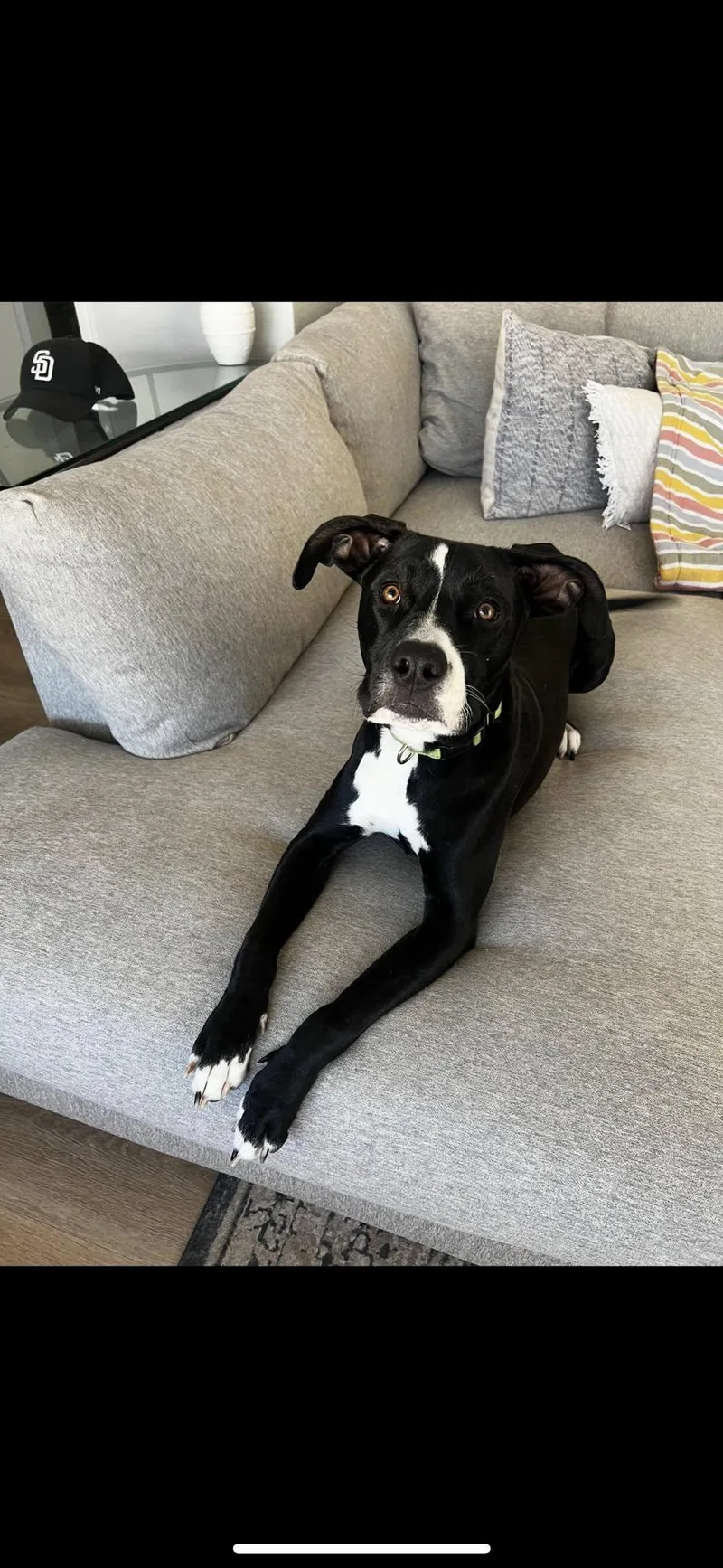 Nicholas thumbnail 2