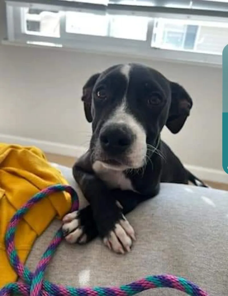 Nicholas thumbnail 3