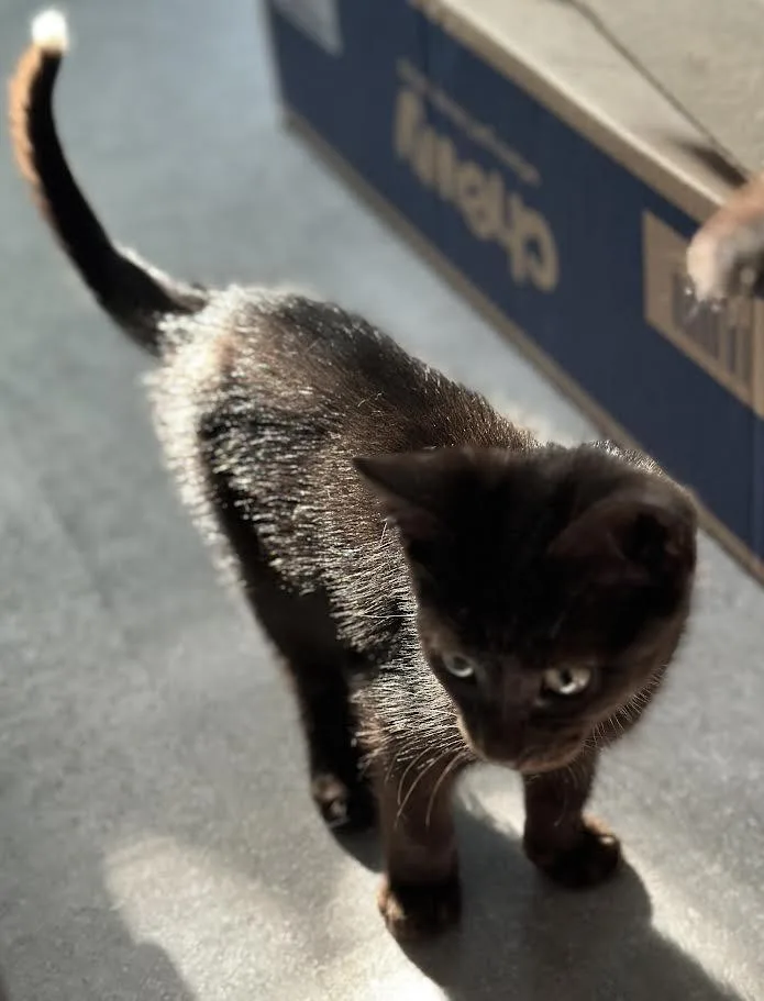 Darlene & Qtip thumbnail 2