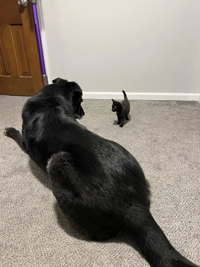 Darlene & Qtip thumbnail 3