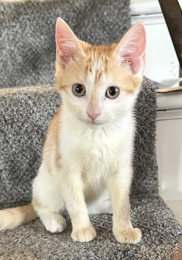 Darlene & Qtip thumbnail 5