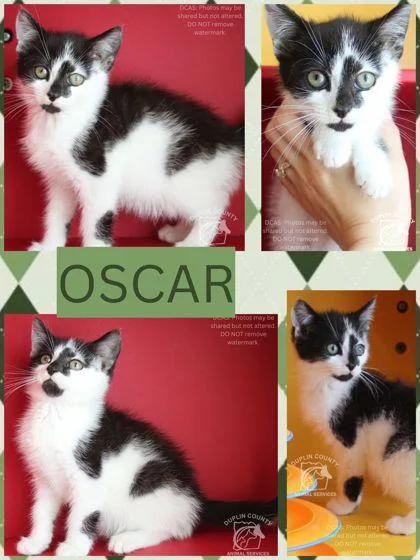 Oscar