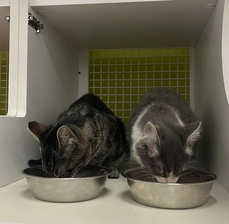 Winter And Willis Indoor thumbnail 2