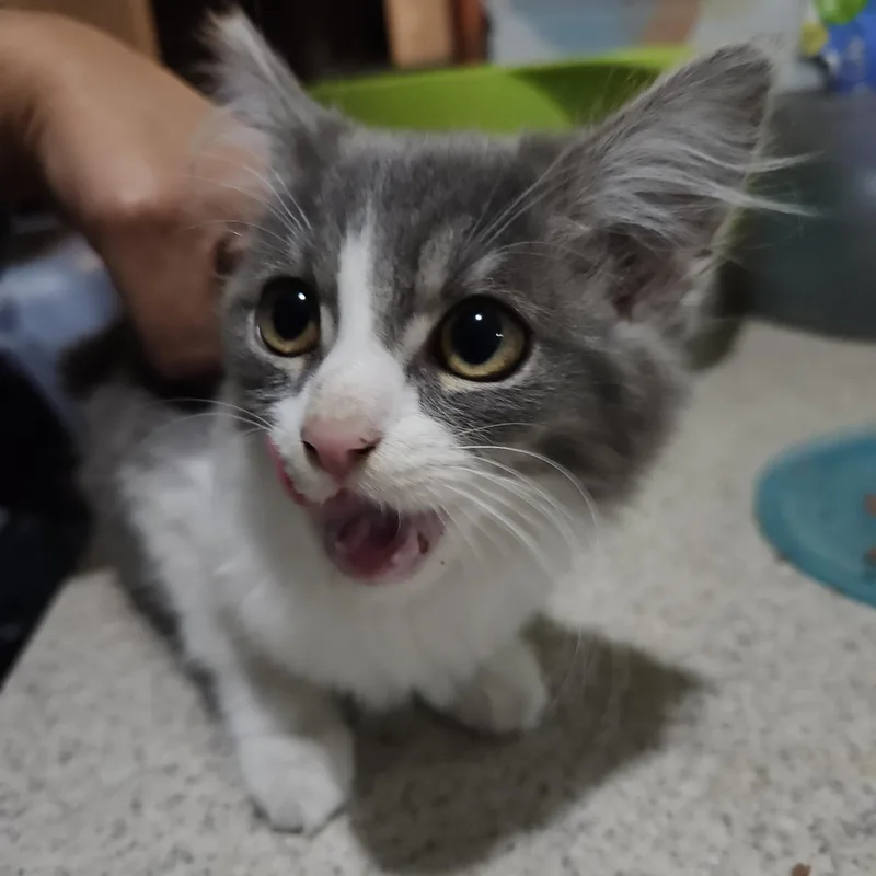 Winter And Willis Indoor thumbnail 3