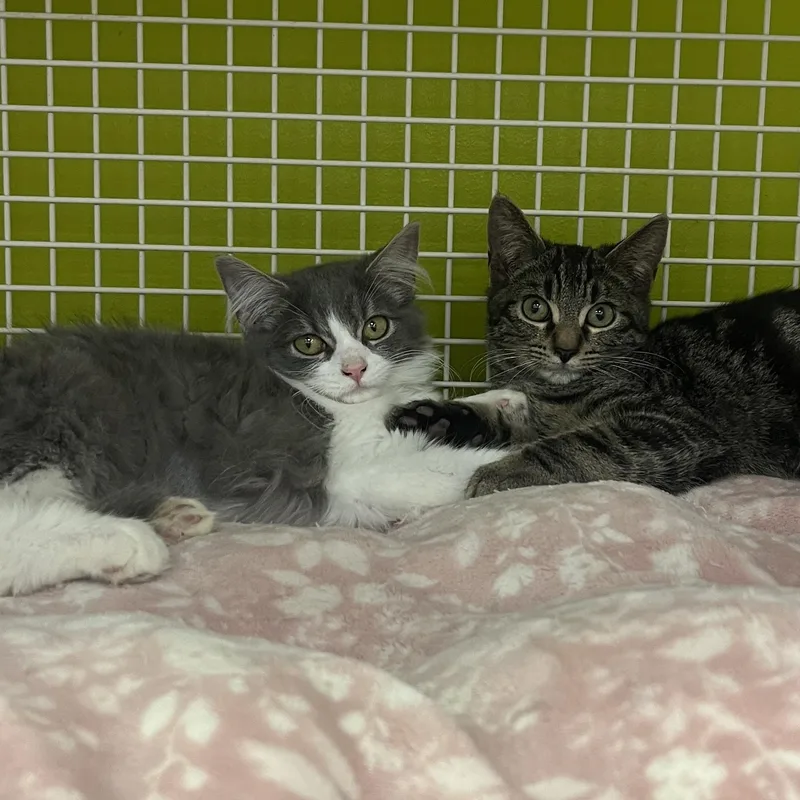 Winter And Willis Indoor thumbnail 4