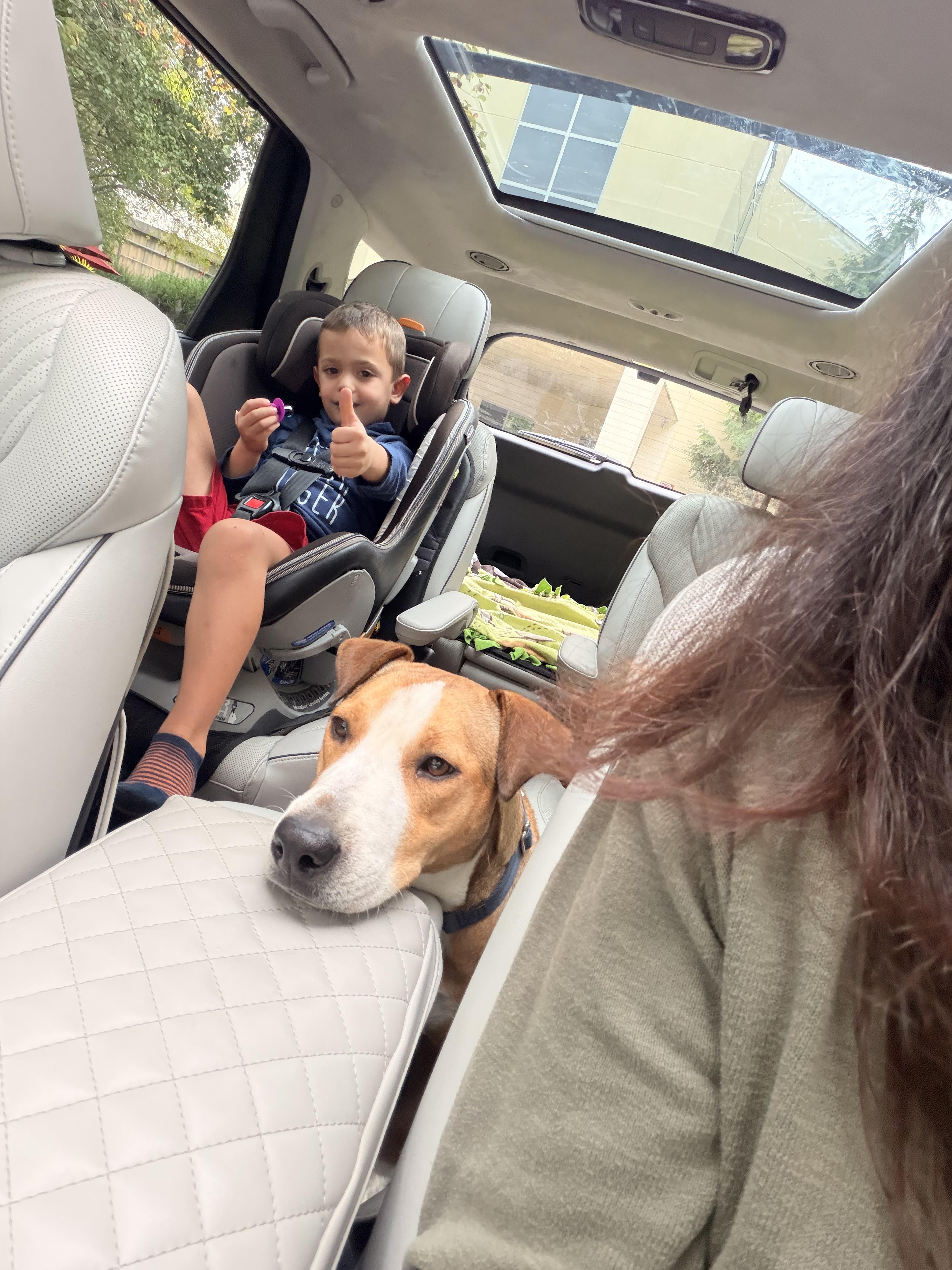 Blueberry thumbnail 3