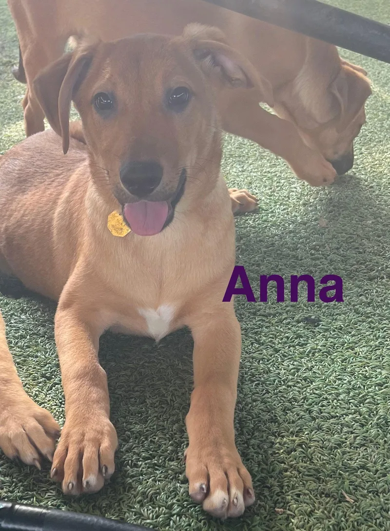 Anna thumbnail 3