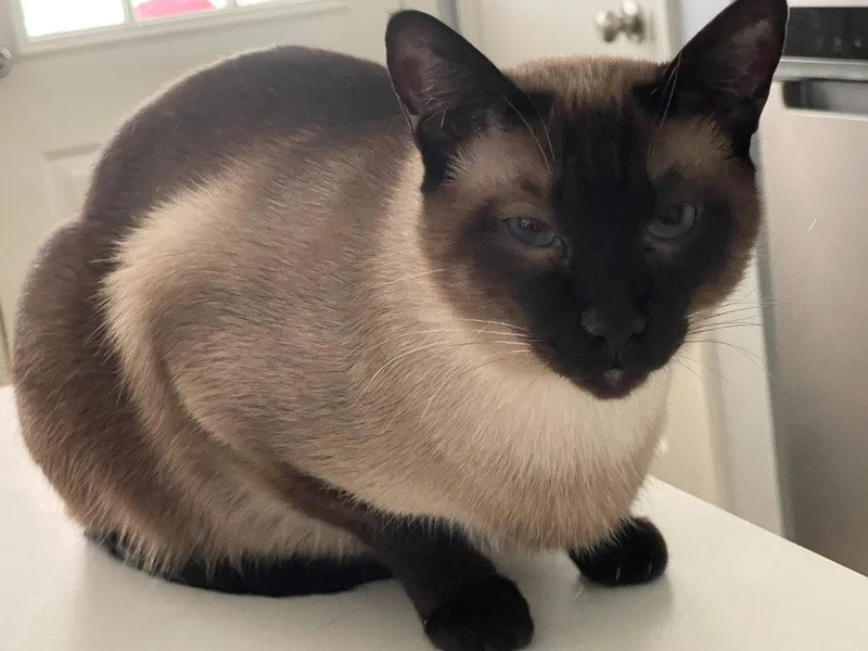 Rook & Bishop  thumbnail 2