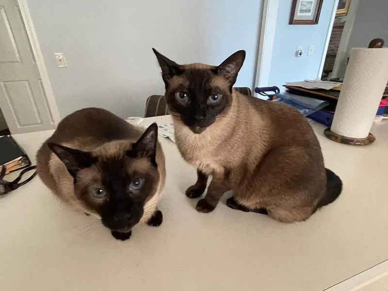 Rook & Bishop  thumbnail 3