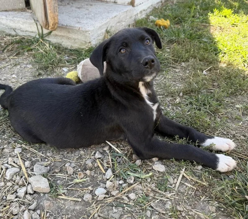 Georgia : Tucker thumbnail 2
