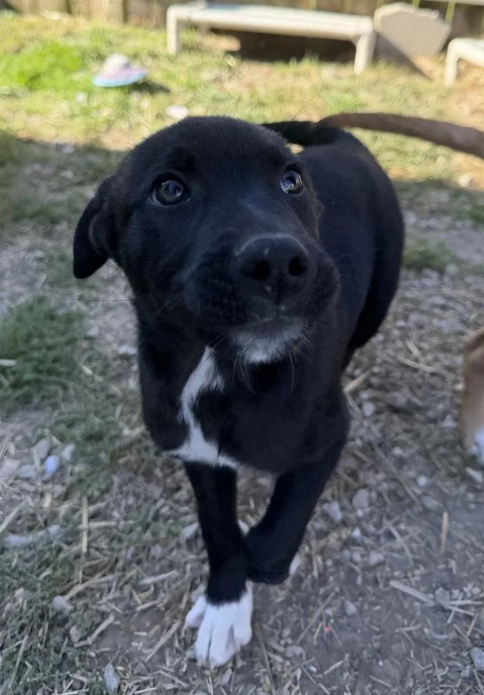 Georgia : Tucker thumbnail 3