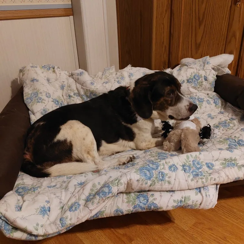 Miss Bubba thumbnail 3