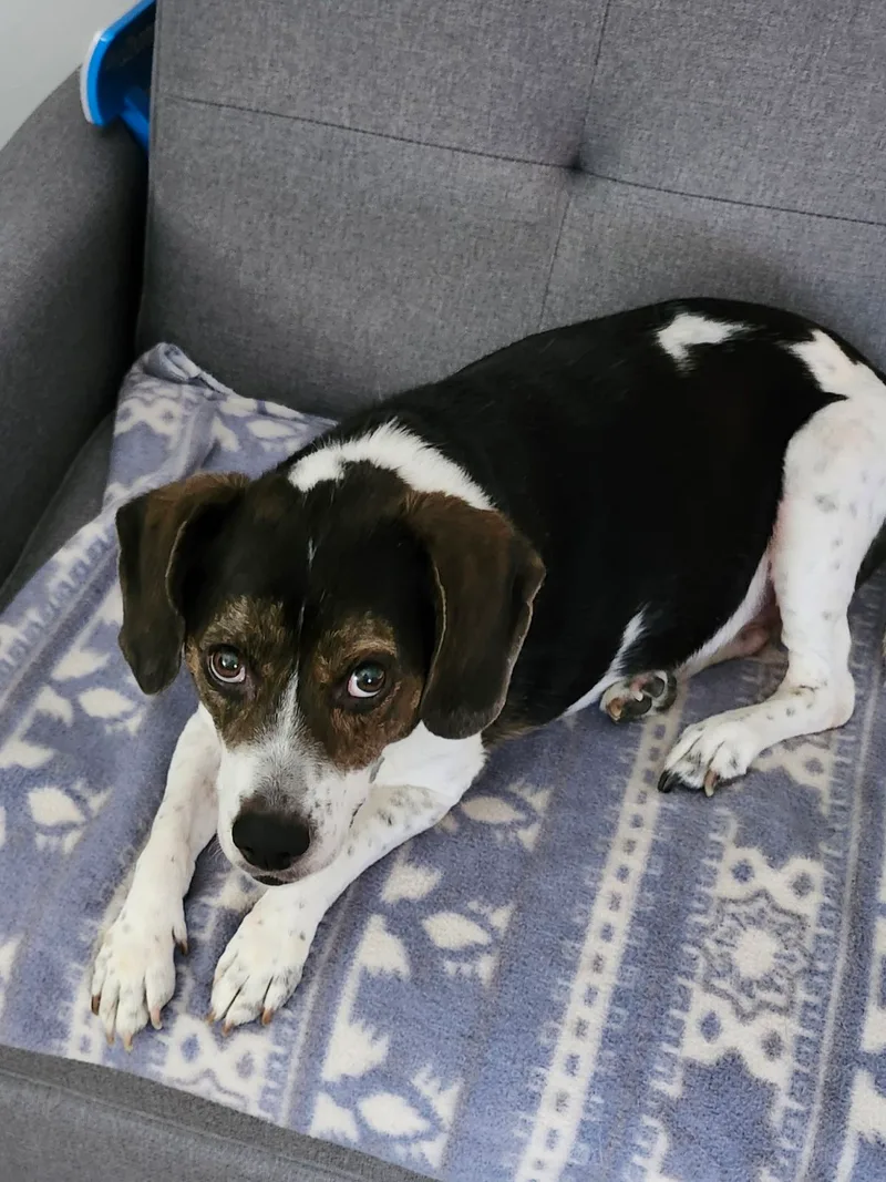 Miss Bubba thumbnail 5