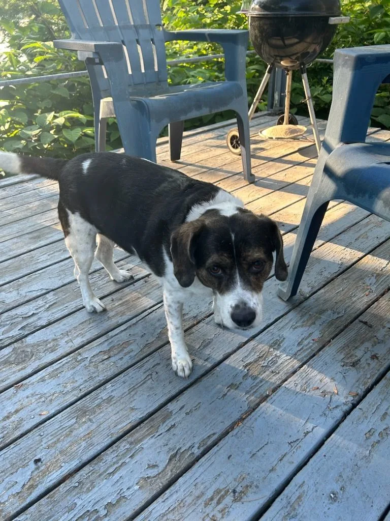 Miss Bubba thumbnail 6