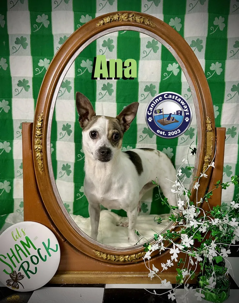 Ana thumbnail 3