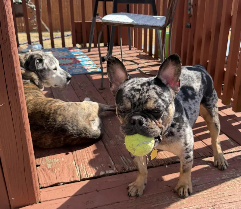 Cosmo!!! thumbnail 3