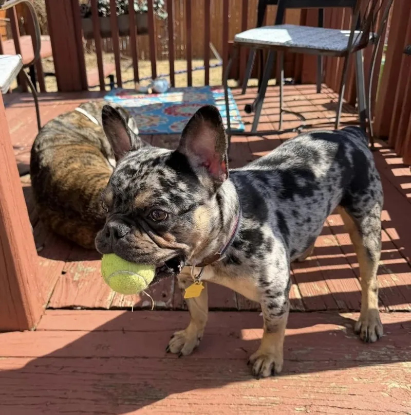 Cosmo!!! thumbnail 4