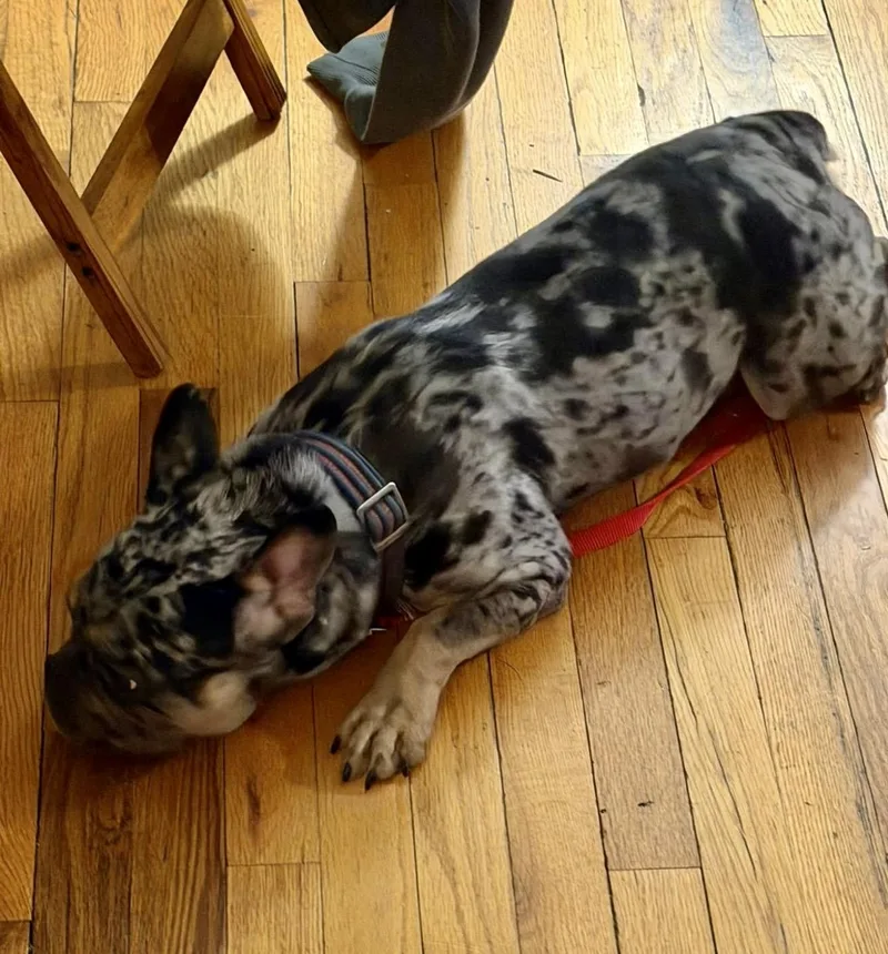 Cosmo!!! thumbnail 6