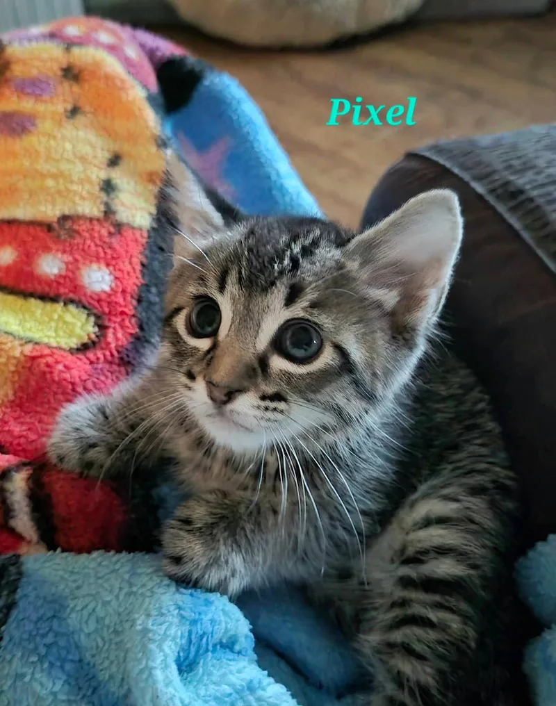 Pixel thumbnail 2