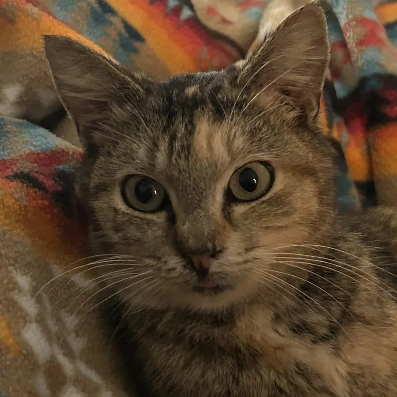 Ms Jackson thumbnail 2