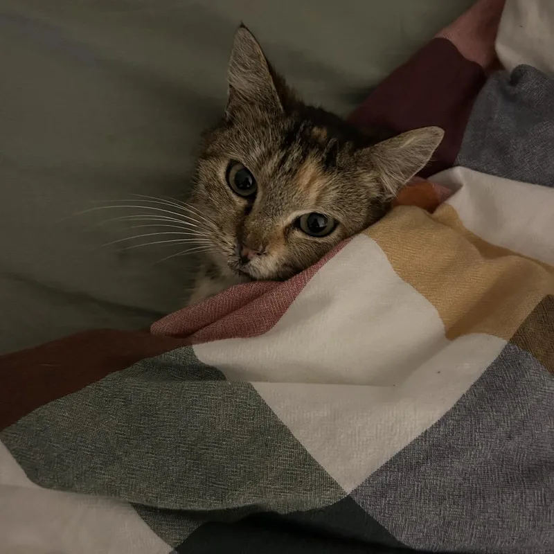 Ms Jackson thumbnail 4