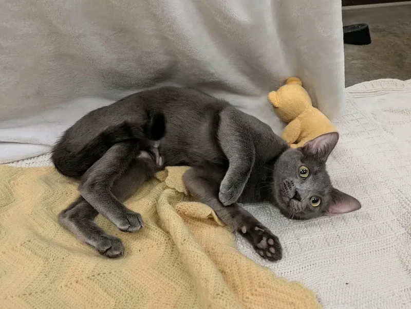 Winnie
