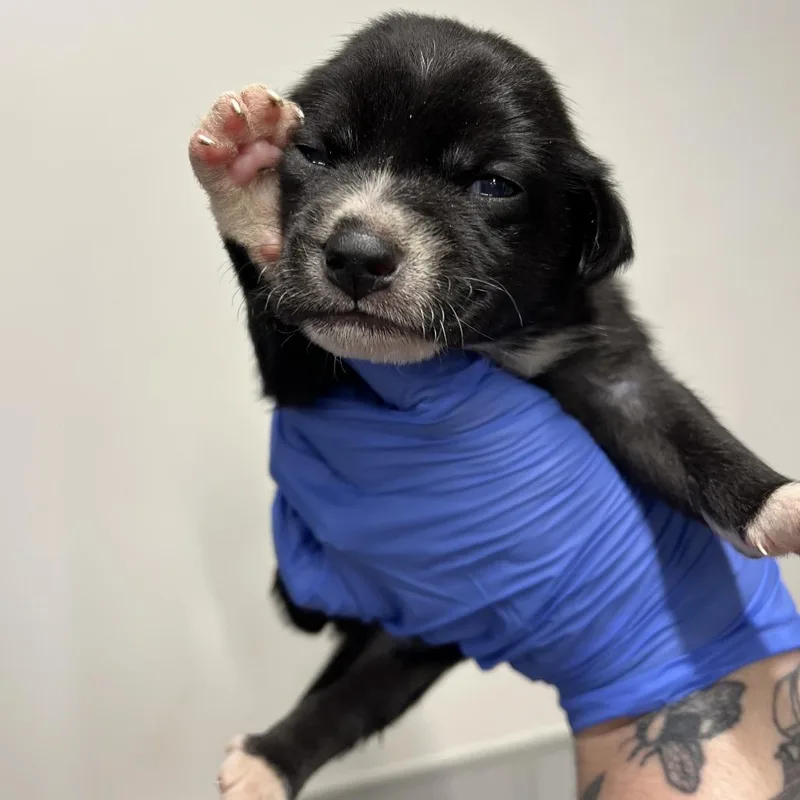 Winnie