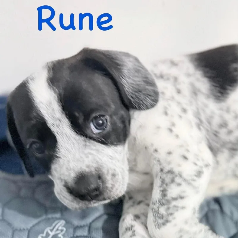 Rune thumbnail 2