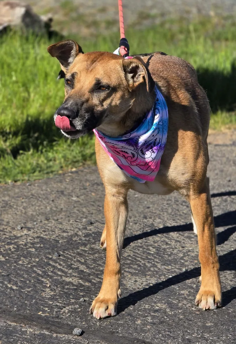 Seraphina thumbnail 5