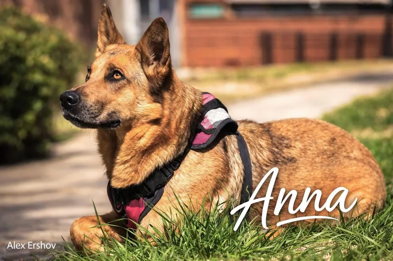 Anna thumbnail 2