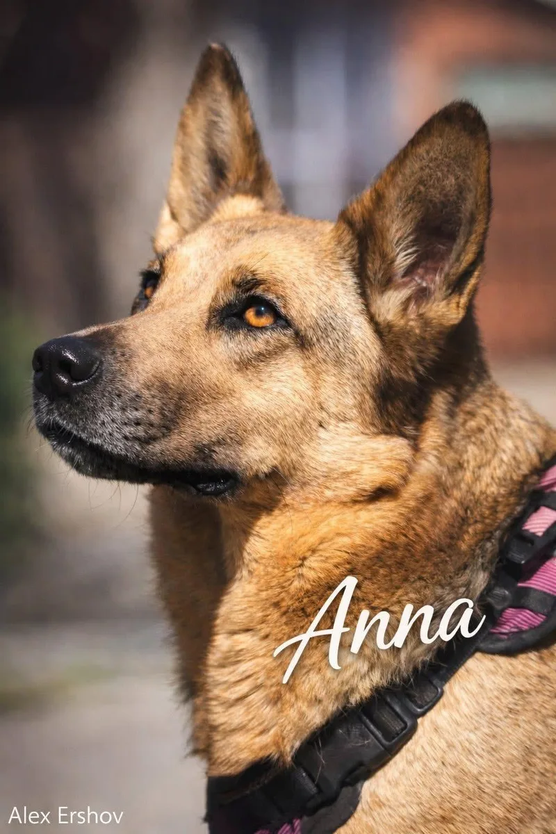 Anna thumbnail 3