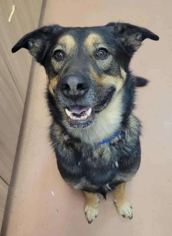 Zeke