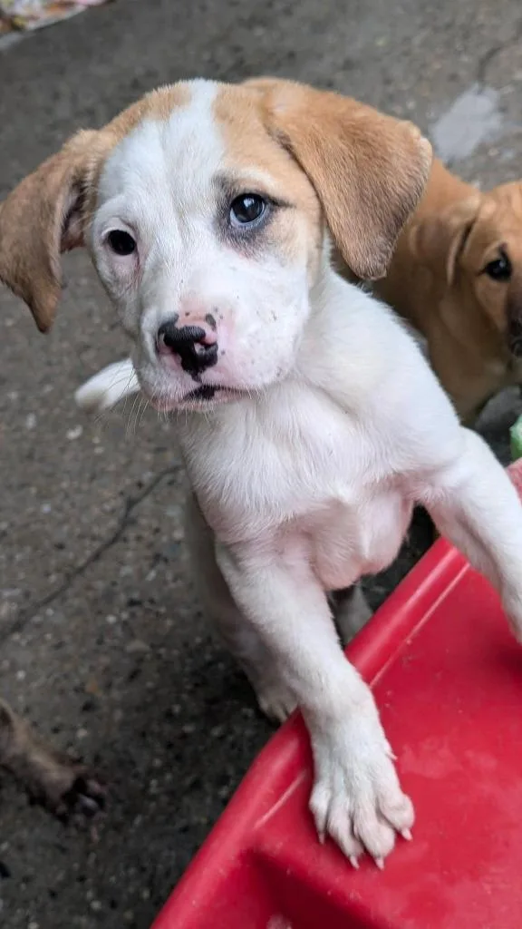 Pillsbury thumbnail 2