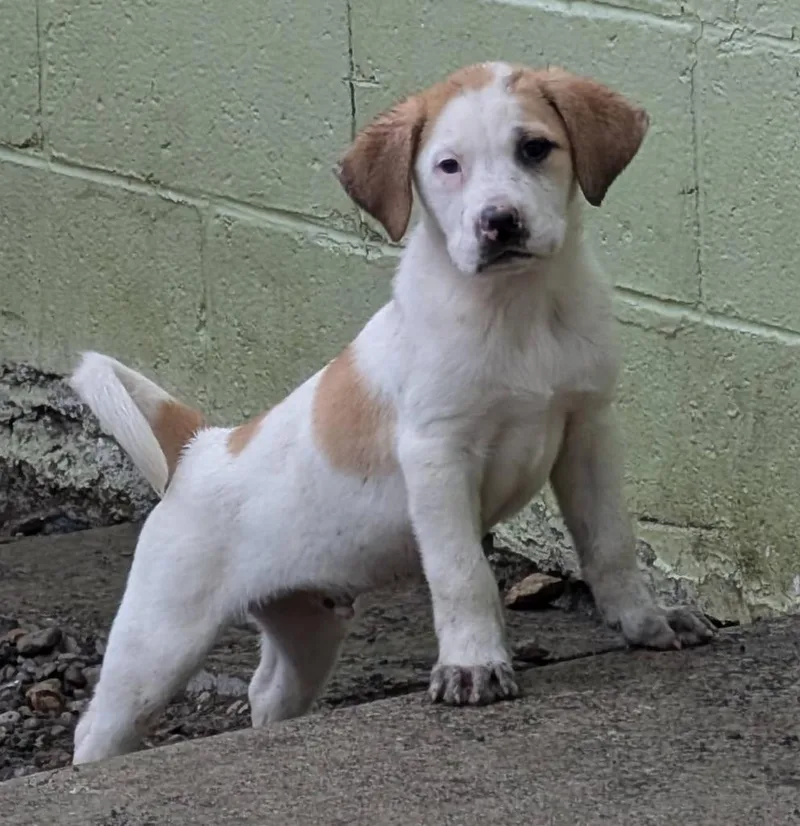 Pillsbury thumbnail 5