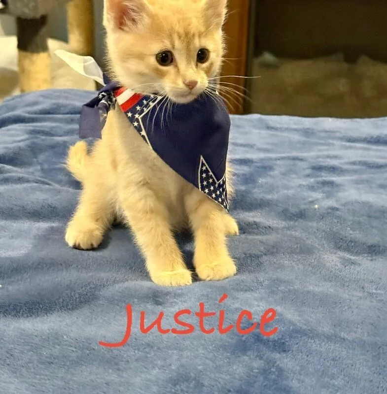 Justice