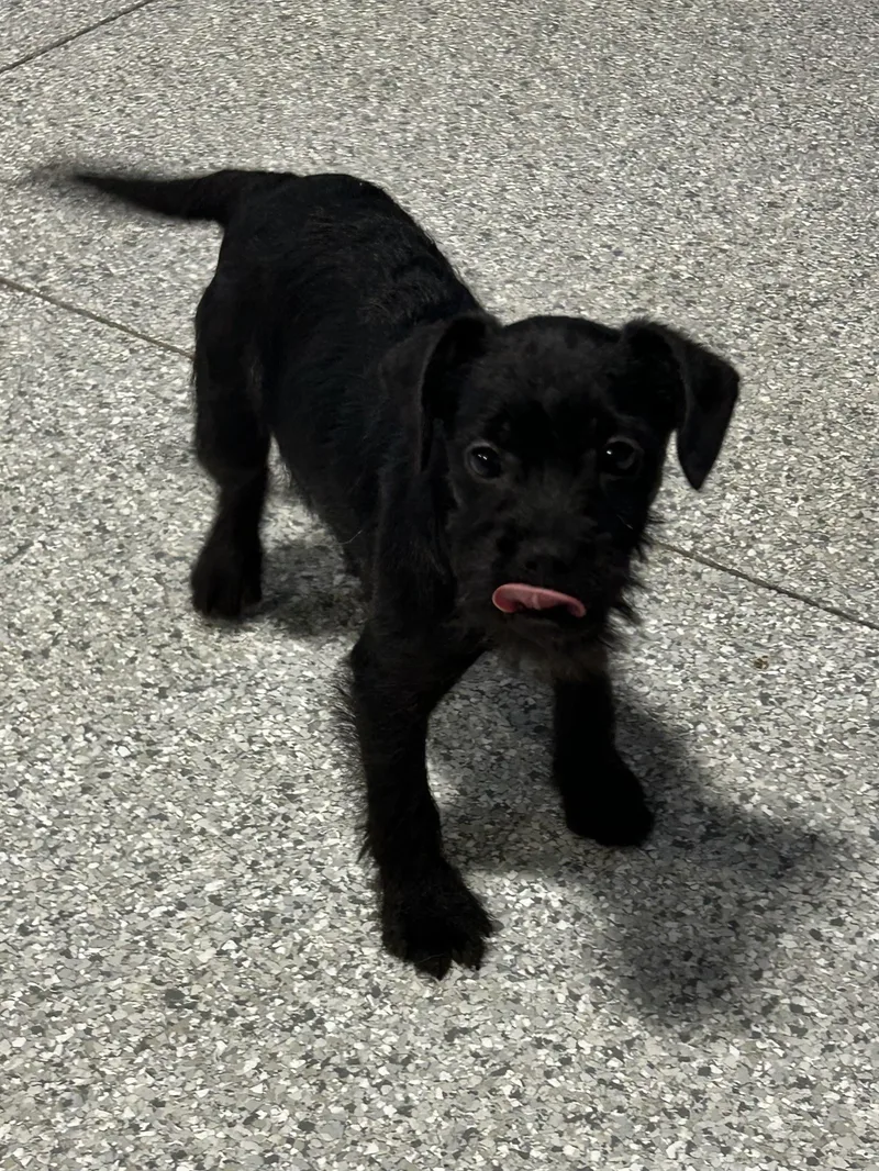 Oh My!  . thumbnail 2