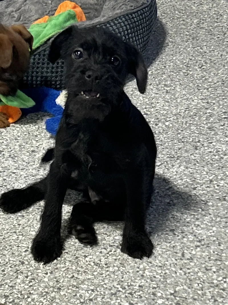 Oh My!  . thumbnail 4