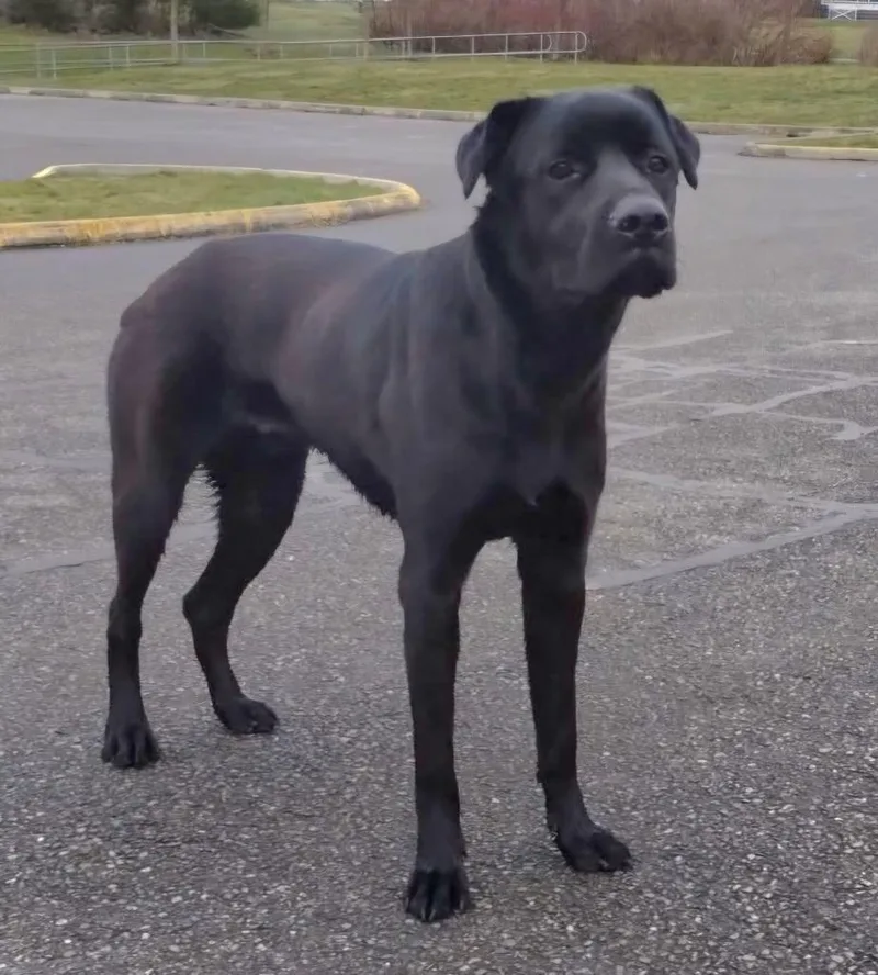 Levi Ohd thumbnail 2