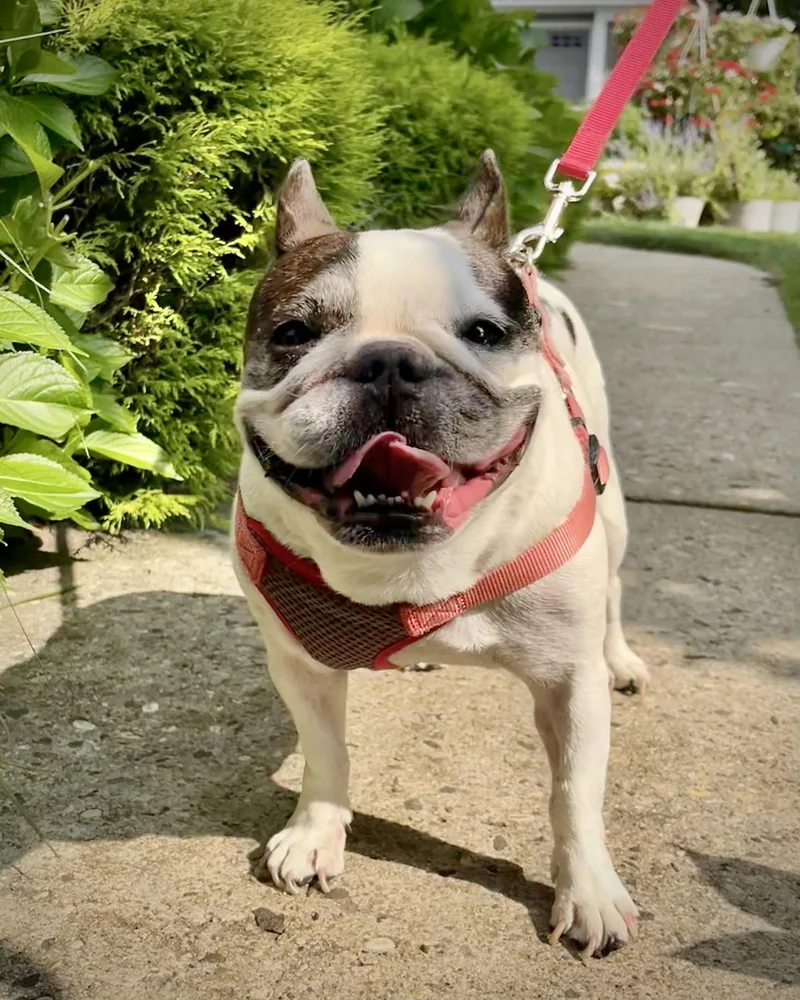 Lola thumbnail 2